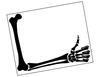 Thumb up Bones