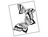 Butterfly Love