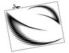 Feather Fan