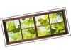 Lieferansicht 3D Ginkgotraum