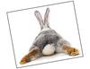 Lieferansicht Bunny Life