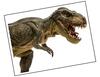 Lieferansicht Tyrannosaurus Rex