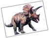 Lieferansicht Triceratops