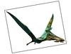 Lieferansicht Pterodactylus