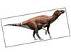 Lieferansicht Brachylophosaurus