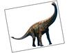 Lieferansicht Spinophorosaurus