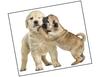 Lieferansicht Best Friends