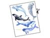 Lieferansicht Aquarell der Wale
