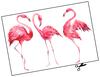 Lieferansicht Watercolor Flamingos