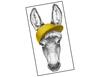 Lieferansicht Eselchen Cool Cap