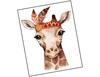 Lieferansicht Baby Giraffe Zora