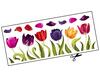 Lieferansicht Majestic Tulips