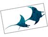 Lieferansicht Blaue Mantarochen