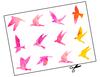 Lieferansicht Color Fantasy Birds