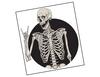 Lieferansicht Death Metal Skeleton