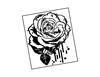 Lieferansicht Melting Rose