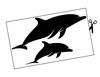 Lieferansicht Delfin d'Amour