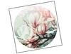 Lieferansicht Magnolientraum