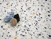 Möbelfolie Terrazzo Mixed Blue – Cover Styl NH10