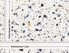 Möbelfolie Terrazzo Mixed Blue – Cover Styl NH10