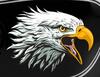 Motorradaufkleber Weißkopfseeadler
